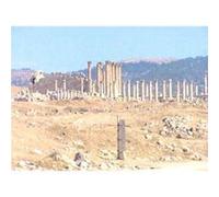 Urban Development and Regional Identity in the Eastern Roman Provinces 50 BC AD 250 by Rubina Raja Rubina Raja (Auteur)