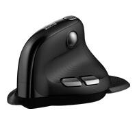 Urban Factory ERGO Max souris Bureau Droitier RF sans fil + Bluetooth 4000 DPI