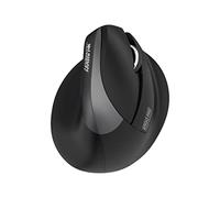Urban Factory ERGO PRO - souris - vertical - 2.4 GHz, Bluetooth 5.0 - noir