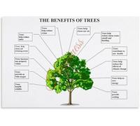 Urban Forest Benefits Poster Green City Infrastructure