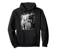 Urban Pitbull Dogs Smoking Street Scène Sweat à Capuche