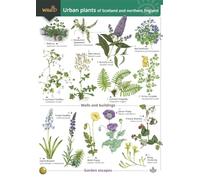 Urban plants: of Scotland and northern England