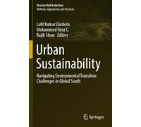 Urban Sustainability: Navigating Environmental Transition Challenges in Global South