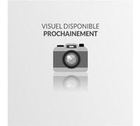 Chargeur 42V (3 pins) Hoverboard