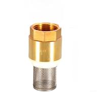 UrbanHui Valve inférieure en laiton de 2,5 cm avec grillage en acier inoxydable et mécanisme de clapet anti-retour pour un fonctionnement fiable du système d'eau (D)