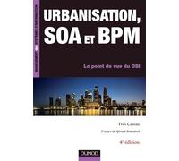 Urbanisation, SOA et BPM - 4ème édition - Le point de vue du DSI: Le point de vue du DSI