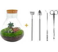 Urbanjngl Bottle Garden Sam XL Bonsai Set (Rake, Shovel, Tweezer) - 35 cm