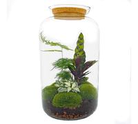 Urbanjngl bouteille jardin Botanique Sven XL - 43 cm