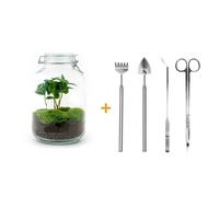 Urbanjngl Ensemble de jardin en bouteille Coffea Arabica (râteau, pelle, tweezer, ciseaux) - 28 cm