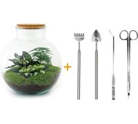 Urbanjngl Flaschengarten Bolder Bob Set (Râteau, Pelle, Pince à épiler, Ciseaux) - 30 cm