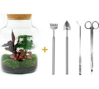 Urbanjngl Flaschengarten Milky Set (Râteau, Pelle, Pince à épiler, Ciseaux) - 30 cm