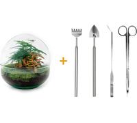 Urbanjngl Jardin de Bouteille Dôme Rouge (Rake, Shovel, Tweezer, Scissors) - 20 cm