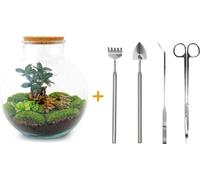 Urbanjngl Jardin de bouteilles Bolder Bob Bonsai Set (Rake, Shovel, Tweezer, Scissors) - 30 cm