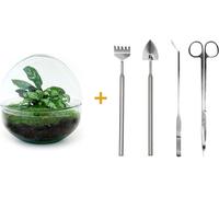 Urbanjngl Jardin de bouteilles Dome Set (Rake, Shovel, Tweezer, Scissors) - 20 cm