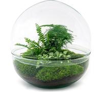 Urbanjngl Jardin de bouteilles Dome XL - 30 cm