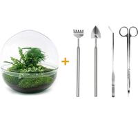 Urbanjngl Jardin de bouteilles Dome XL Set (Rake, Shovel, Tweezer, Scissors) - 30 cm