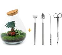 Urbanjngl Jardin de bouteilles Drop XL Set (Rake, Shovel, Tweezer, Scissors) - 37 cm