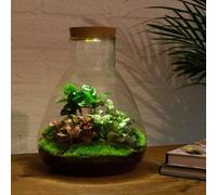 Urbanjngl Jardin de bouteilles Sam avec lampe - 30 cm