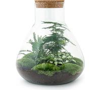Urbanjngl Jardin de bouteilles Sam XL - 35 cm
