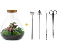 Urbanjngl Jardin de bouteilles Sam XL Rouge Set (Rake, Shovel, Tweezer, Scissors) - 35 cm