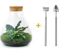 Urbanjngl Jardin de bouteilles Sammie Set (Rake, Shovel, Tweezer, Scissors) - 26 cm
