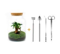 Urbanjngl Jardin en Bouteille Milky Avec Set Bonsai (Rake, Shovel, Tweezer, Scissors) - 30 cm