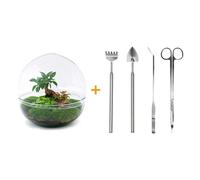 Urbanjngl Set de jardin en bouteille Ficus Ginseng Bonsai Set (Râteau, Pelle, Pince à épiler, Ciseaux) - 30 cm