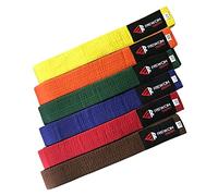 URBANSBEE Ceinture pour Taekwondo professionnel Karaté - Ceintures pour arts martiaux, ceinture de karaté judo, sport de combat qualité supérieure (6/310 cm, marron)