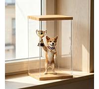 UrbanUp Vitrine Acrylique Boîte en Acrylique avec Base et Dessus en Bois Massif, Vitrine Transparente Anti-poussière de Trophée/Figurine, Boîtes 60,50,40,25,30,25,20,15,10 cm(10x15xH30cm/4x6x12)