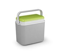 Urbliving Grande glacière vert/gris 10-36 litres pour camping, plage, déjeuner, pique-nique, nourriture isotherme - Différents styles disponibles, 10L - 28 x 30 x 18 cm