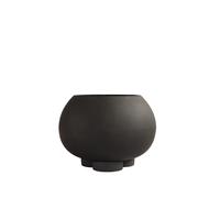 Urchin Planteur Café Moyen