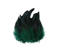 URFEDA 100 Pièces Plumes Colorées 14-20CM Naturelles Plumes De Faisan Plumes en Vrac Plume de Coq pour DIY Artisanat Art Boucles d'oreilles Bijoux Dreamcatcher Fabrication Décorations (Vert Foncé)