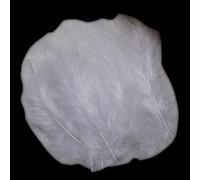 URFEDA Lot de 200 plumes douces de pintade - Plumes naturelles - Pour attrape-rêves, costumes, chapeaux, masques, mode décoration de la maison, plumes pour fête, Halloween, carnaval - 10 à 15 cm
