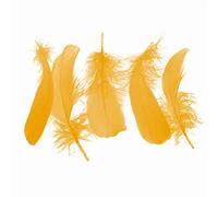 URFEDA Plumes naturelles Plumes d'oie colorées Véritables plumes d'oie Mode DIY Accessoires de bricolage Plumes Décoration Accessoires pour attrape-rêves, costumes, chapeaux, masques, mariage, fête
