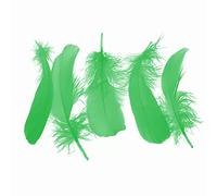 URFEDA Plumes naturelles Plumes d'oie colorées Véritables plumes d'oie Mode DIY Accessoires de bricolage Plumes Décoration Accessoires pour attrape-rêves, costumes, chapeaux, masques, mariage, fête