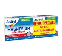 Alvityl Comprimés Magnésium Vitamine B6 – Libération prolongée – 2x45 comprimés