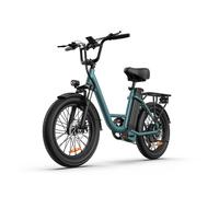 URLIFE E20 Fat Tire Electric Bicycle: 500W motor, 48V, 13AH, ultra-long range of 100km, green.