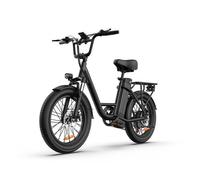 URLIFE - E20 - Vélo électrique - Moteur 250W - Batterie 48V 13Ah - Autonomie 100 km - Noir