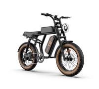 URLIFE T2 Vélo Électrique - Moteur 250W Batterie 48V 15.6Ah Pédalier assisté Freins à disque - Marron