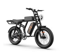 URLIFE T2 Vélo Électrique - Moteur 250W Batterie 48V 15.6Ah Pédalier assisté Freins à disque - NoirFreins à disque - Noir