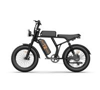 URLIFE T2 Vélo Électrique - Moteur 250W Batterie 48V 15.6Ah Pédalier assisté Freins à disque - NoirFreins à disque - Noir