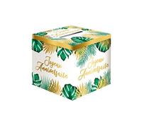 urne carton anniversaire tropical party 20cm vert - sud trading cd5527b