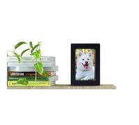 Urne commémorative pour animaux de compagnie - Planche en bois, boîte à souvenirs de cendres, cadre photo élégant | Lieu de repos final chic, support de mémoire décoratif pour chiens, chats, lapins, p