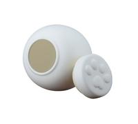 Urne commémorative pour animaux domestiques en céramique avec empreinte du pied, récipient pour cendres blanc rose pour chiens et chats avec date personnalisée, 350 ml (blanc, 350 ml)