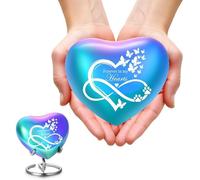 Urne en Forme de C ur pour Cendres Humaines et Animaux de Compagnie Urne Funéraire pour et Chien Infini Arc en ciel