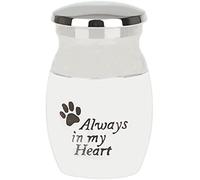 Urne funéraire avec inscription « Always in My Heart » pour animal domestique avec inscription « Dog Cat »