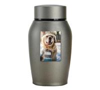 Urne funéraire pour animaux de compagnie - Cendres pour chat et chien | Urnes funéraires pour grand chat, urnes funéraires en céramique pour cendres commémoratives, porte-cendres commémoratives pour