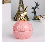 Urne Pour Animaux Cendres Incinérées Animaux Compagnie Rose Souvenirs Chat Chien Boîte Rangement Cendres D'animaux Urnes Animaux Compagnie Urnes Souvenir Urnes Crémation Monuments Funéraires(Pink-7)