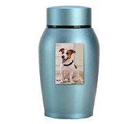 Urne pour Cendres d'animaux - Urnes pour Cendres de Chiens et de Chats | Urne pour Animaux de Compagnie en Acier Inoxydable pour Grands Chiens ou Petites Urnes - Urnes commémoratives légères