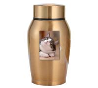 Urnes à cendres de chat et de chien, petites urnes pour cendres | Urne de chat pour cendres,Urnes commémoratives légères pour chiens, grand chat, chat moyen, urne pour personne aimée